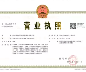 沧州冀环营业正本