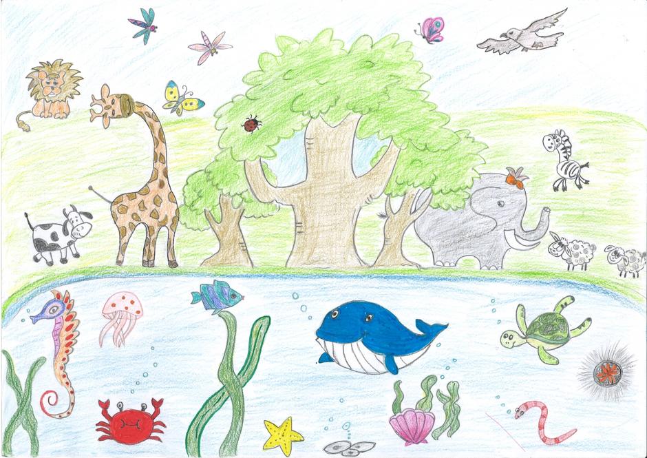 Drawing 14 Biodiversity Drawing Competition, Drawing Campaign, International Biodiversity Day